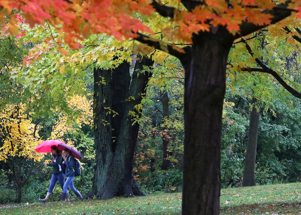 Campus color